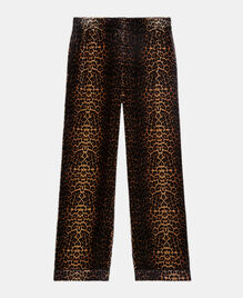 , LEOPARD, hi-res image number null