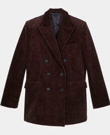 , BROWN, hi-res image number null