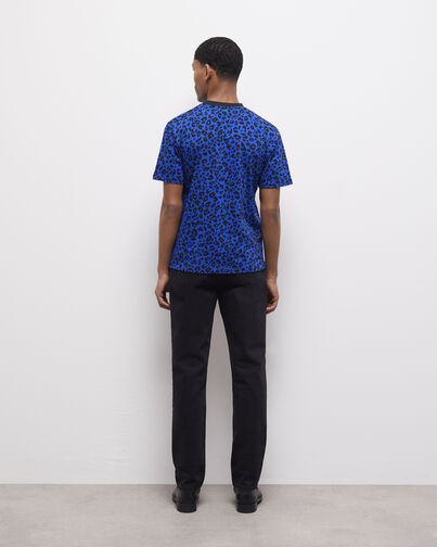 , BLUE ELECTRIC, hi-res image number null