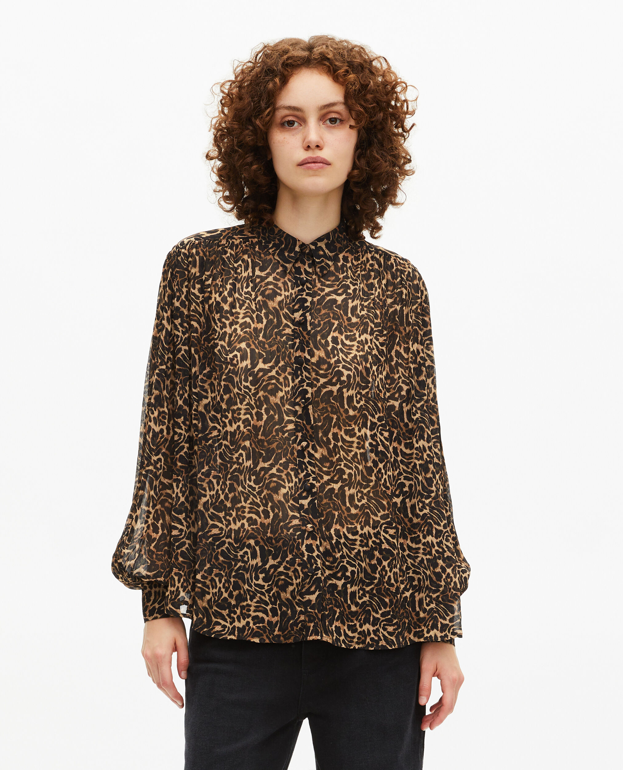 , LEOPARD, hi-res image number null