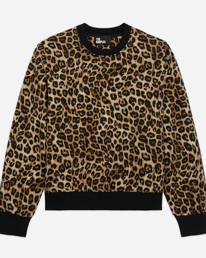 , LEOPARD, hi-res image number null