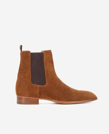 , BROWN, hi-res image number null