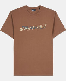 , BROWN, hi-res image number null