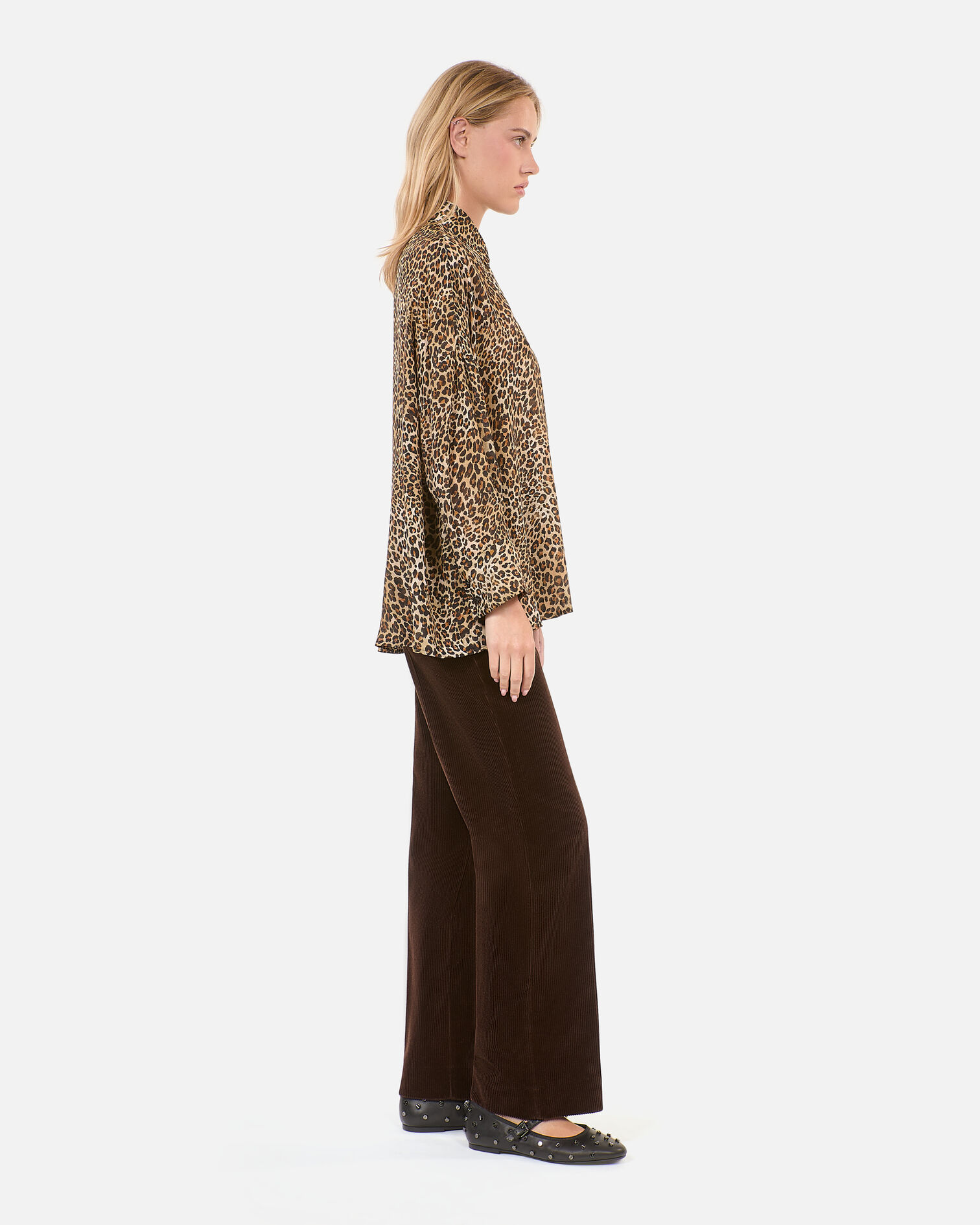 , LEOPARD, hi-res image number null