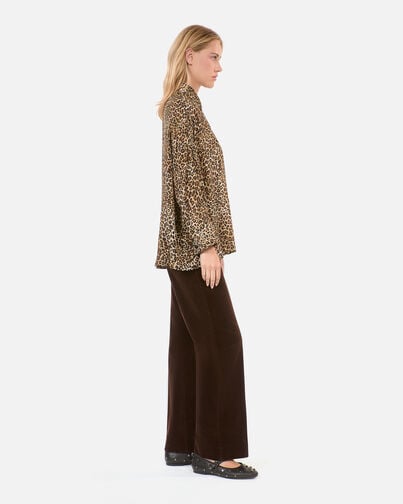 , LEOPARD, hi-res image number null