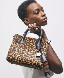 , LEOPARD, hi-res image number null