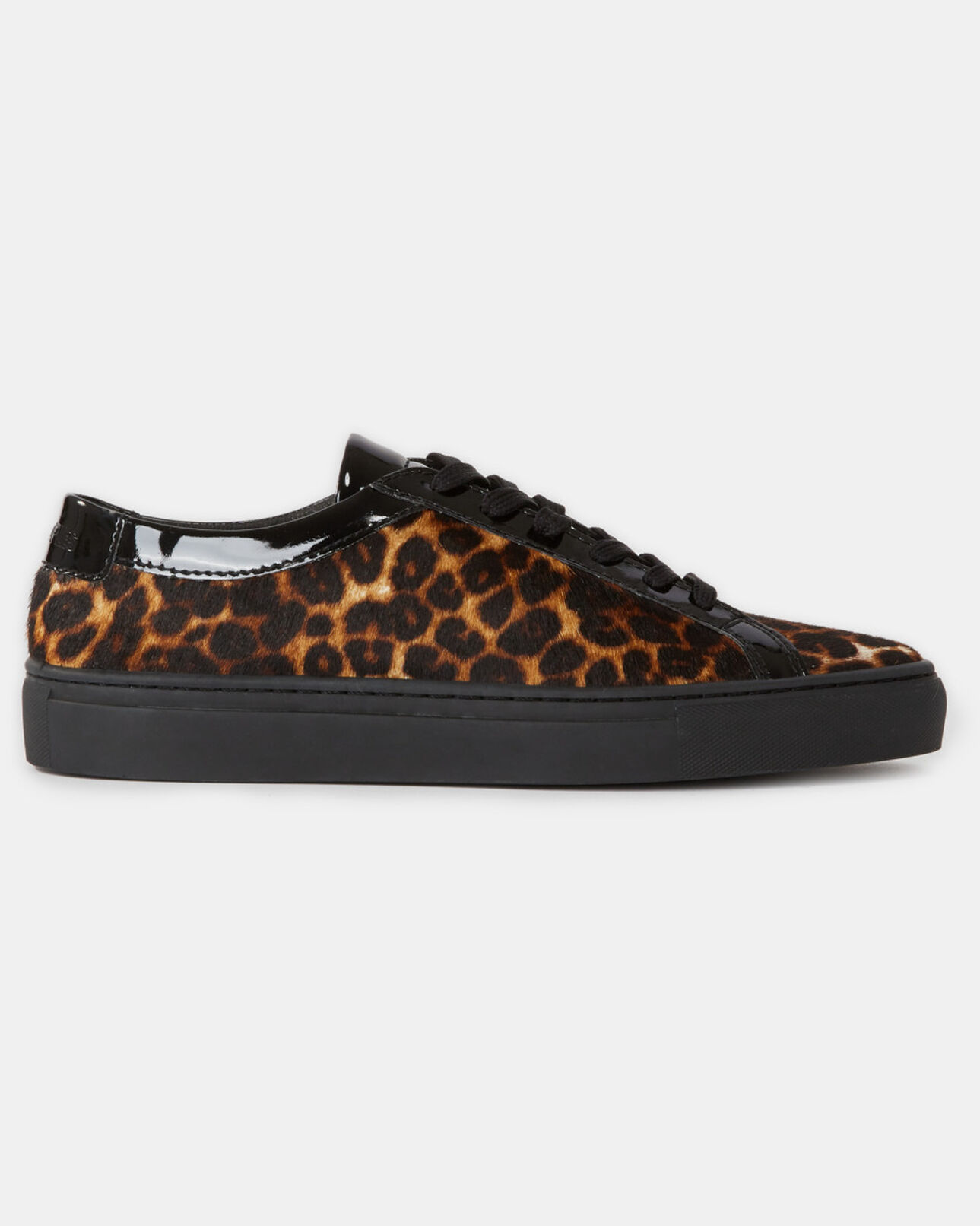 The Kooples WOMEN LEOPARD leopard print sneakers