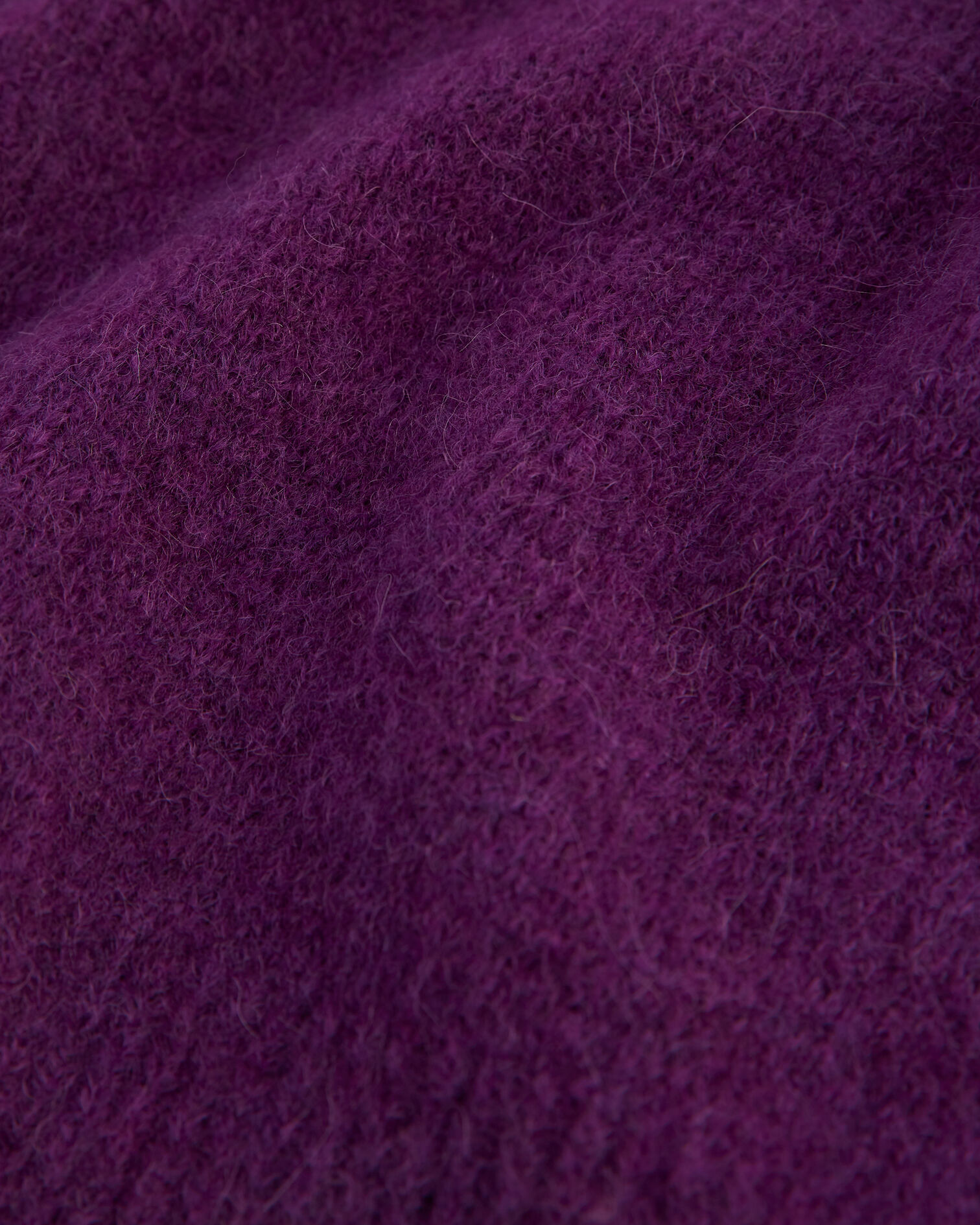 , PURPLE, hi-res image number null