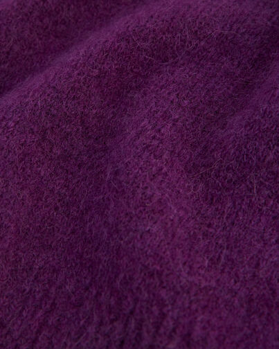 , PURPLE, hi-res image number null
