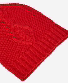 , TANGO RED, hi-res image number null