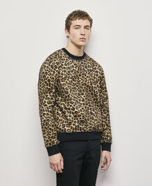 , LEOPARD, hi-res image number null