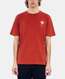 , RED BRIQUE, hi-res image number null