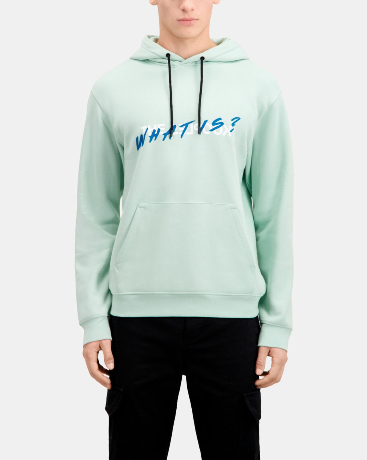 The Kooples MEN OCEAN men's green what is hoodie