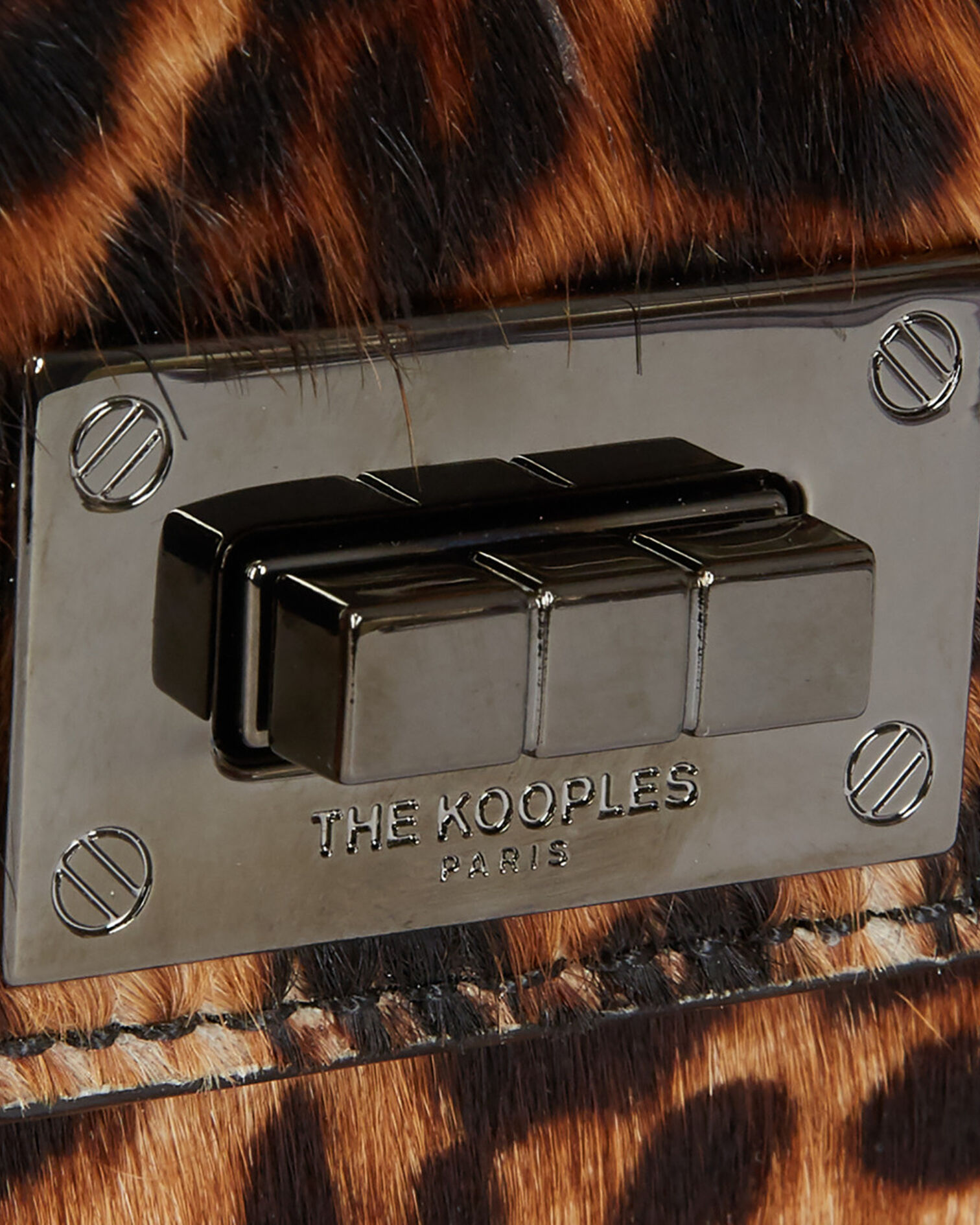 , LEOPARD, hi-res image number null