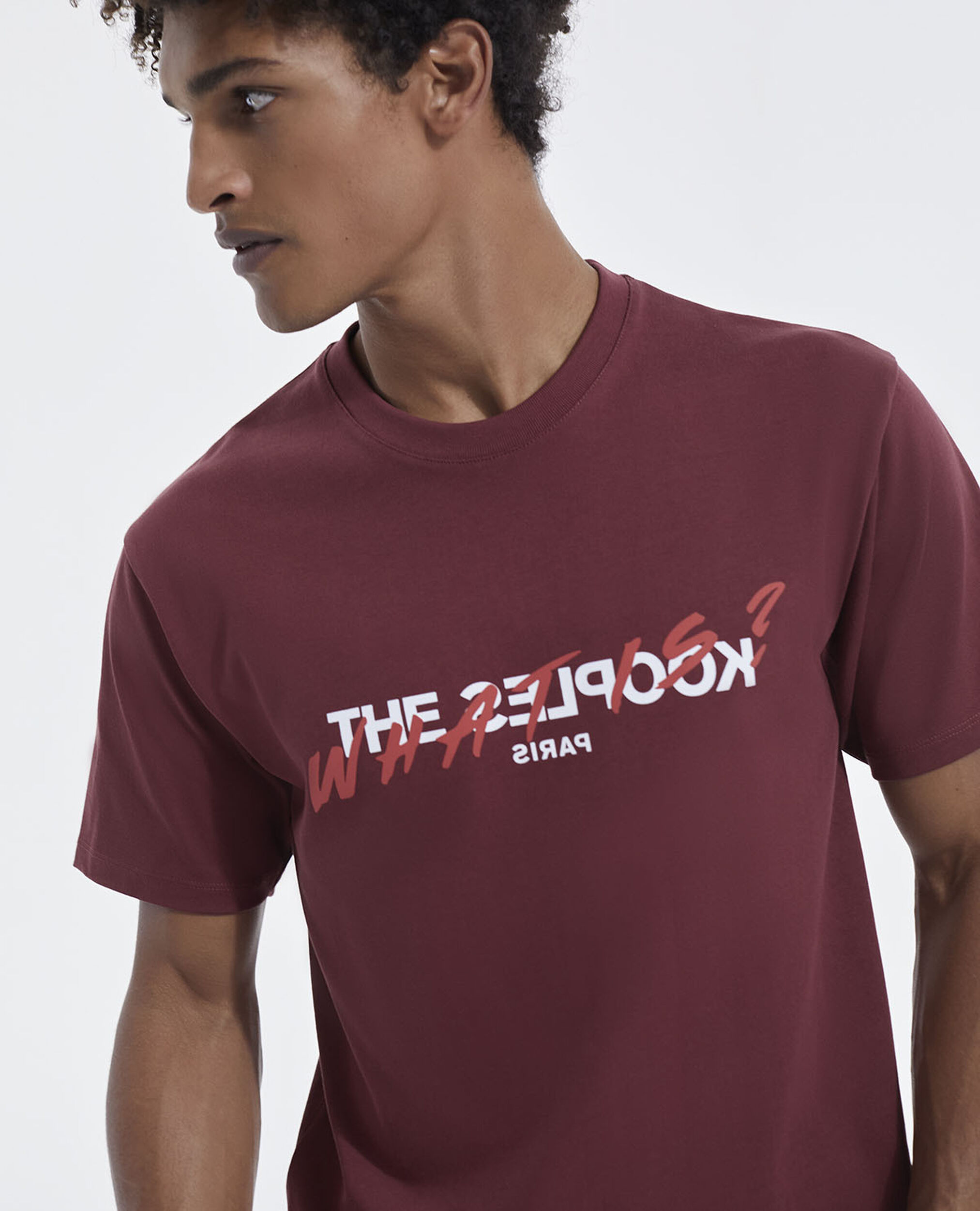 Burgundy cotton T-shirt with What is print, MARRON, hi-res image number null