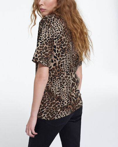 , LEOPARD, hi-res image number null