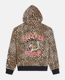 , LEOPARD, hi-res image number null