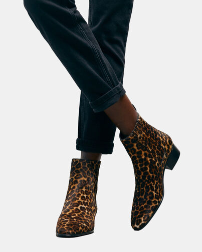 , LEOPARD, hi-res image number null