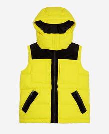, YELLOW FLUO, hi-res image number null