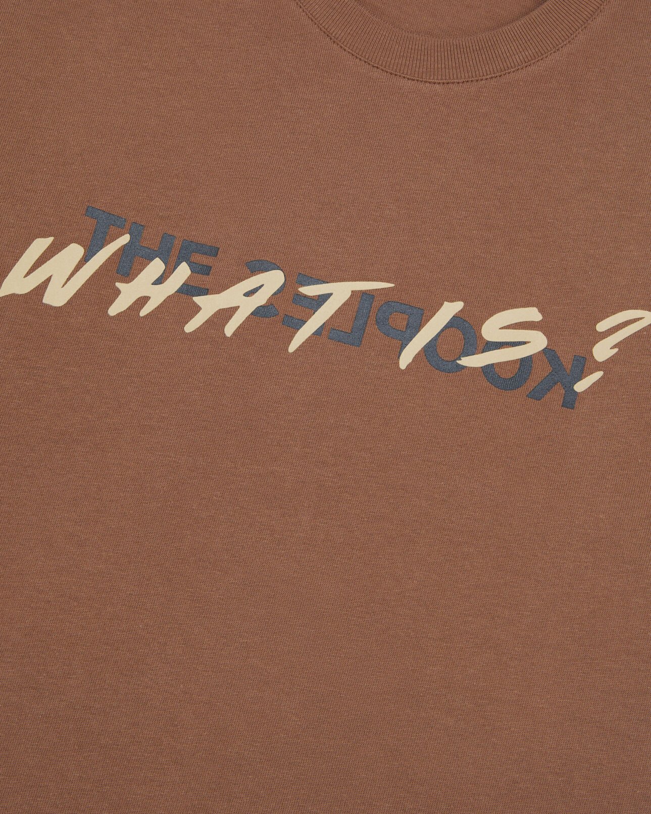 The Kooples HOMME BROWN t-shirt what is marron