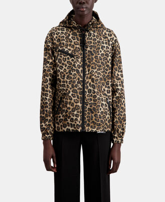 , LEOPARD, hi-res image number null