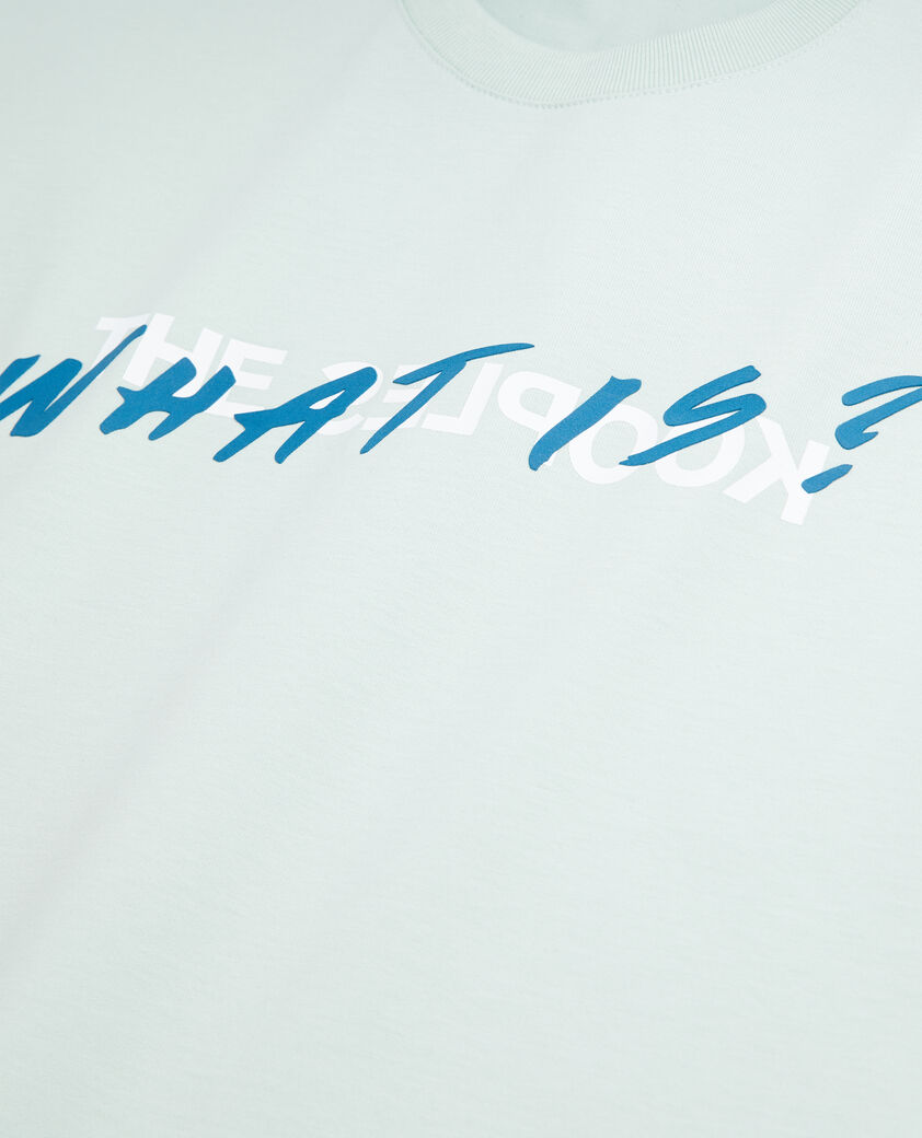 The Kooples WOMEN OCEAN women's light green what is t-shirt