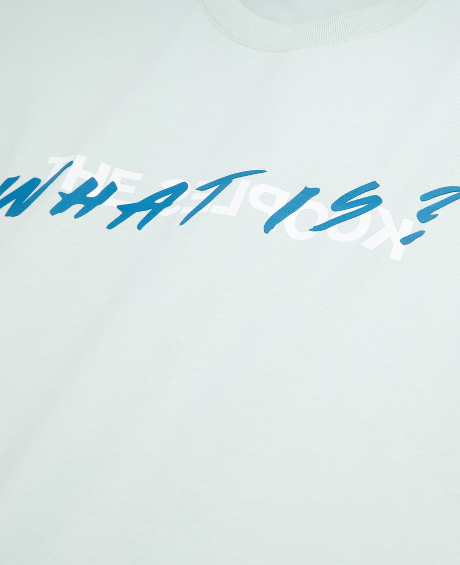 The Kooples F OCEAN women's light green what is t-shirt