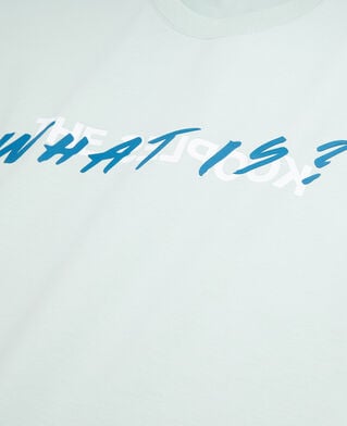 The Kooples F OCEAN women's light green what is t-shirt