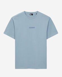 , BLUE GREY, hi-res image number null
