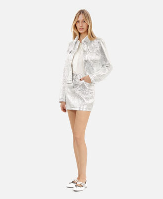 , SILVER, hi-res image number null