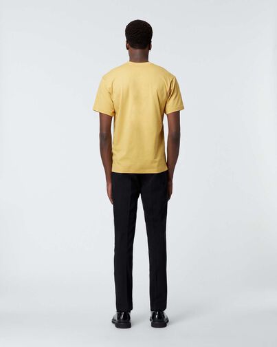 , YELLOW, hi-res image number null