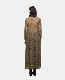 , LEOPARD, hi-res image number null