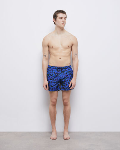, BLUE ELECTRIC, hi-res image number null