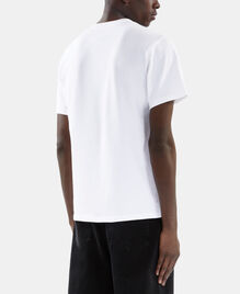 , WHITE, hi-res image number null