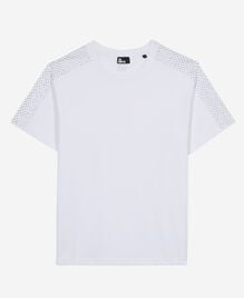 , WHITE, hi-res image number null