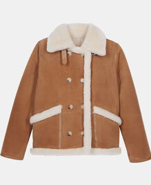 , BROWN-BEIGE, hi-res image number null