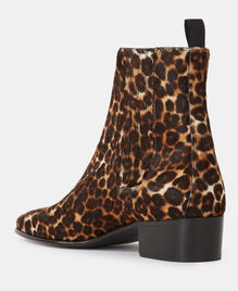 , LEOPARD, hi-res image number null