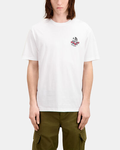 , WHITE, hi-res image number null