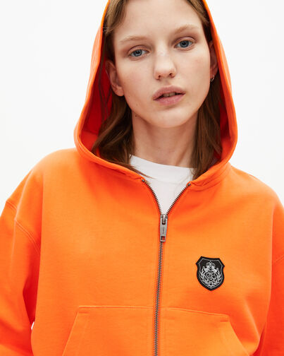 , ORANGE, hi-res image number null
