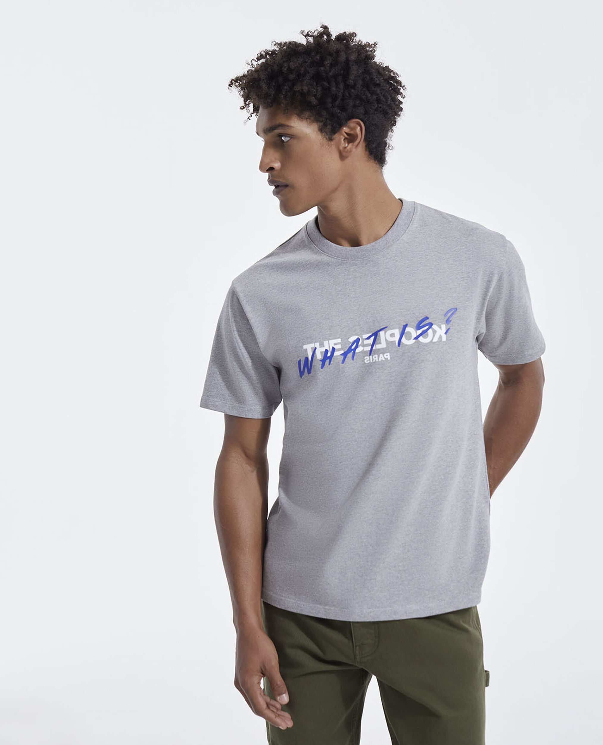 Gray cotton T-shirt with "What is" print, GREY MELANGE, hi-res image number null