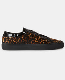, LEOPARD, hi-res image number null