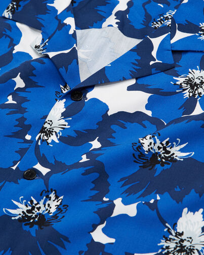 , BLUE, hi-res image number null