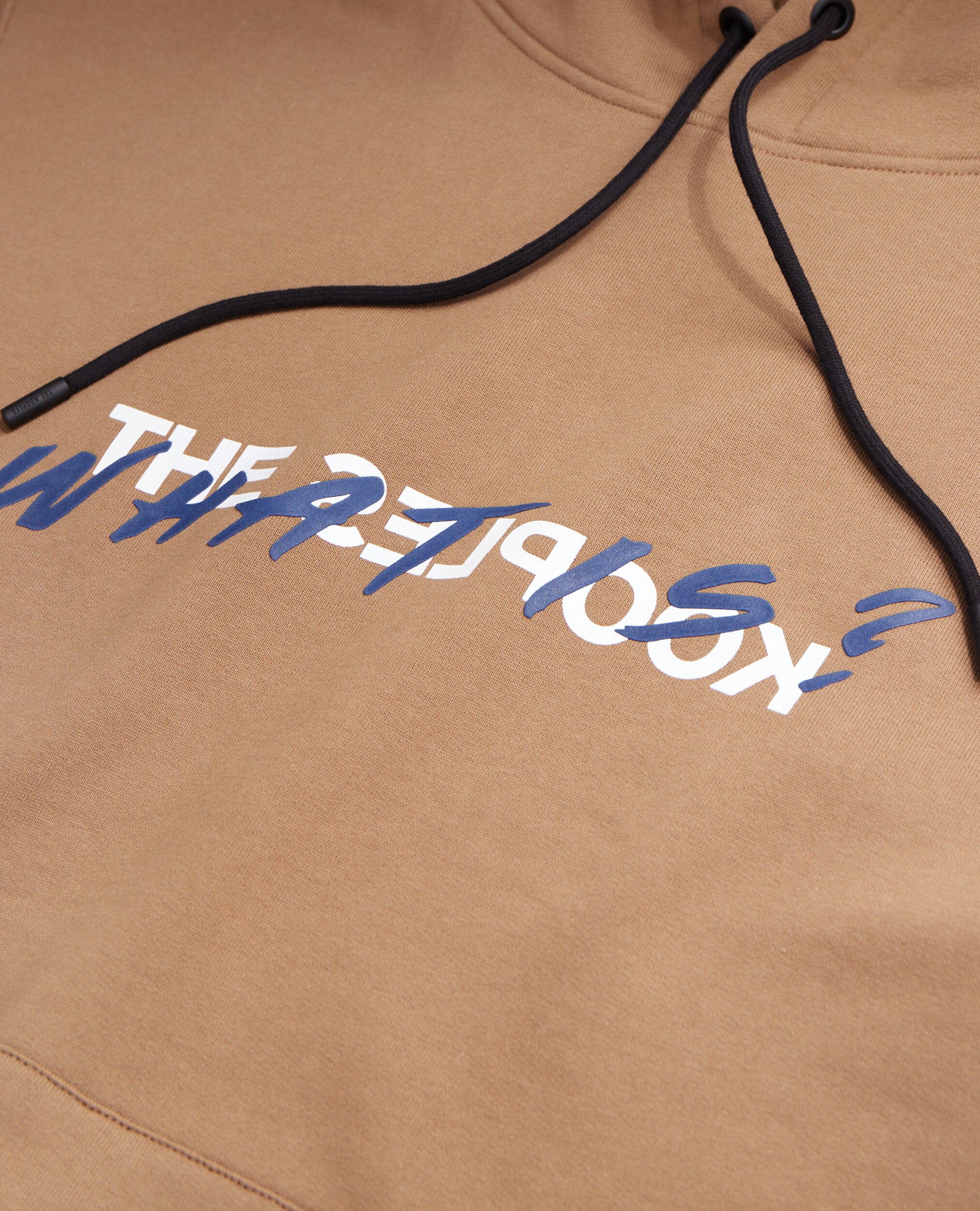 Sweatshirt à capuche What is camel, BROWN-BEIGE, hi-res image number null