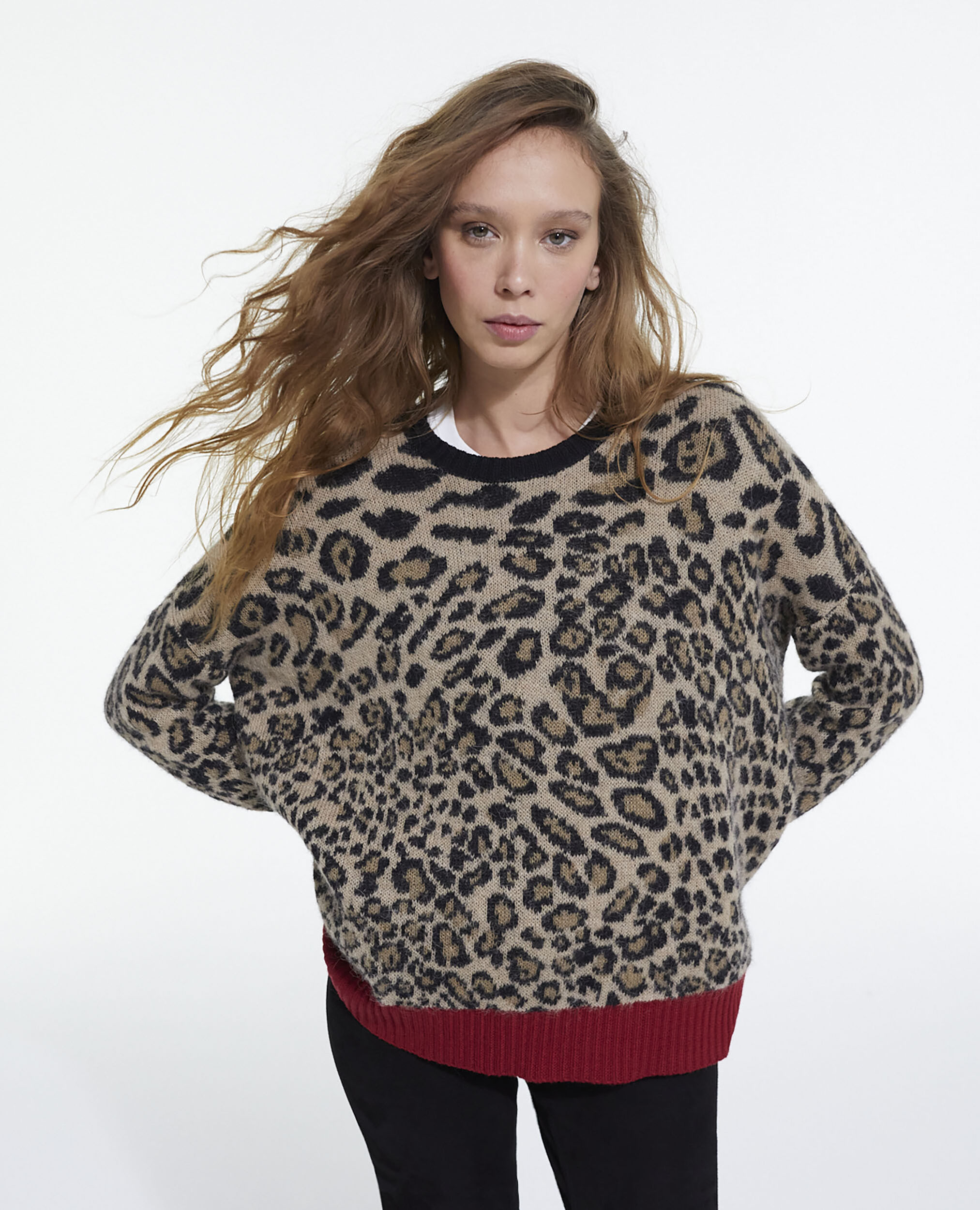 Pullover mit Leopardenmotiv, LEOPARD, hi-res image number null