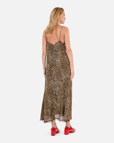 , LEOPARD, hi-res image number null