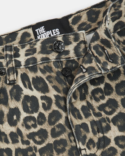 , LEOPARD, hi-res image number null
