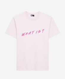 , PALE PINK, hi-res image number null