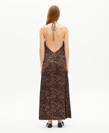 , LEOPARD, hi-res image number null