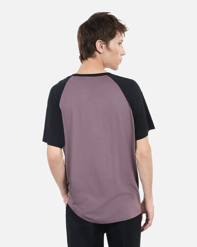 , BROWN, hi-res image number null