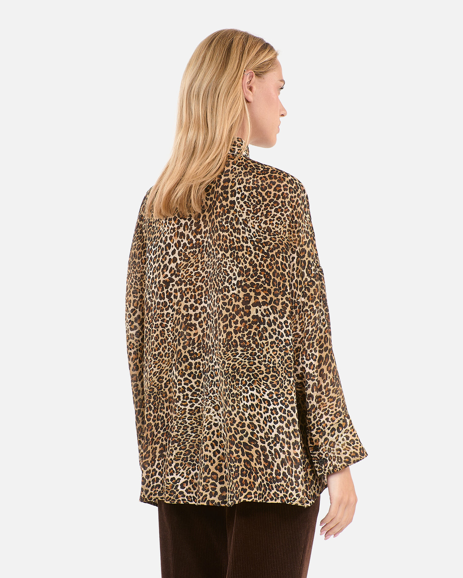 , LEOPARD, hi-res image number null